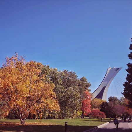 Homa Homestay Hotel By Olympic Stadium Montreal Auberge-Hostel Exteriér fotografie