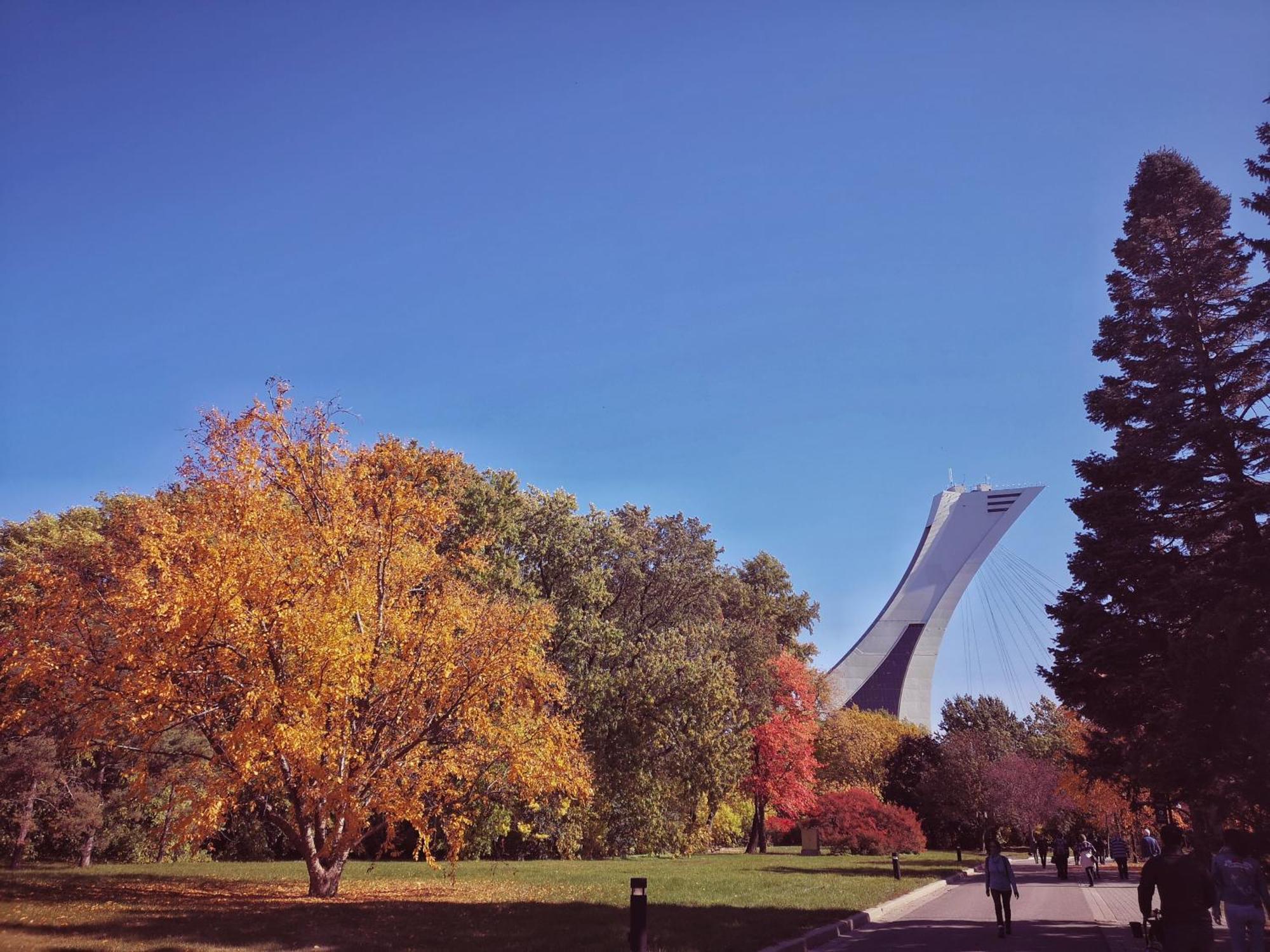 Homa Homestay Hotel By Olympic Stadium Montreal Auberge-Hostel Exteriér fotografie